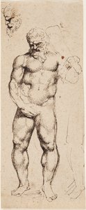 Herkül by Peter Paul Rubens