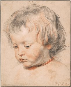 Nicolaas Rubens Mercan Kolye Takıyor, yaklaşık 1619 by Peter Paul Rubens