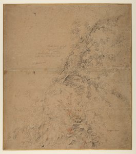 Karaçalının böğürtlen ve diğer bitkilerle incelenmesi, yaklaşık 1620 by Peter Paul Rubens