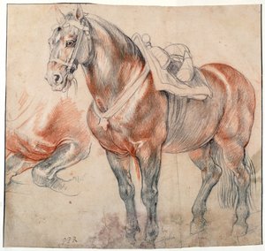""bir eyer at"" Pieter Paul Rubens (1577-1640) tarafından 1616-1618 dolaylarında Suluboya Viyana Bibliotheque albertina by Peter Paul Rubens