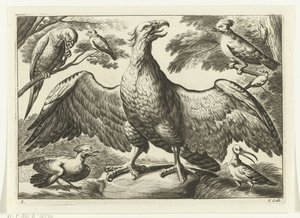 Kartal Diversarum avium türleri (dizi başlığı) Farklı kuşlar (dizi adı)