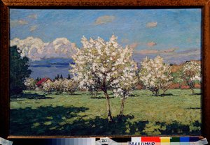 Kiraz çiçekleri. Pyotr Ivanovich Petrovichev'in (Pyotr Petrovichev) (1874-1947) tablosu, tuval üzerine yağlı boya