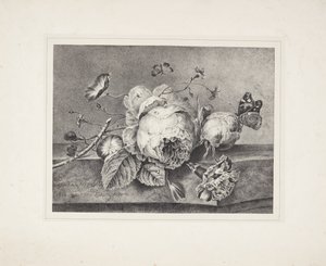 çiçek natürmort by Petronella van Woensel