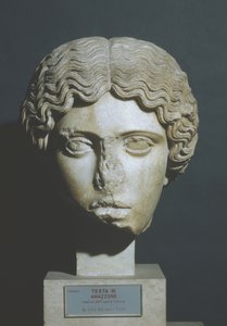 Amazon'un kafası by Phidias Phidias