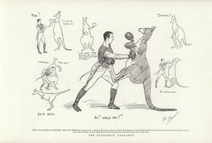 Pugilistik Kanguru by Phil May