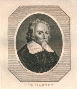 Dr. W. Harvey