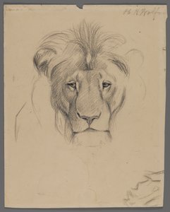Aslan başı (kağıt üzerinde grafit) by Philip H. Wolfrom