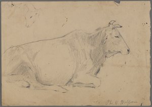 Oturan boğa (kağıt üzerinde grafit) by Philip H. Wolfrom