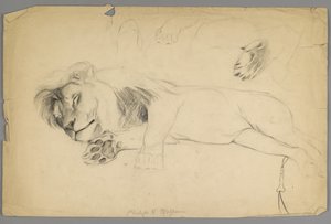 Uyuyan aslan (kağıt üzerinde grafit) by Philip H. Wolfrom