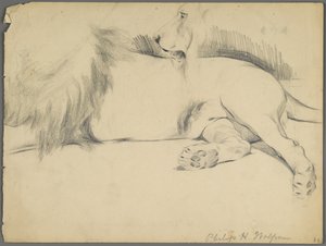 Studies of a lion (graphite on paper) by Philip H. Wolfrom