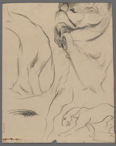 Aslan çalışmaları (kağıt üzerinde grafit) by Philip H. Wolfrom