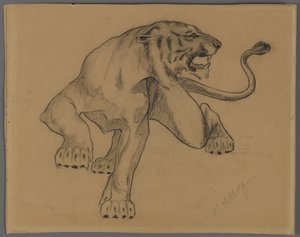 Kaplan (kağıt üzerine kalem hikayesi) by Philip H. Wolfrom