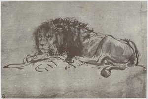 Rembrandt, Bir Aslan