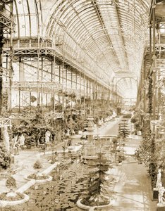 Güney ucundaki Kraliçe Perdesinin üzerindeki galeriden alınan nefin içi, c.1859 (s/b fotoğraf)