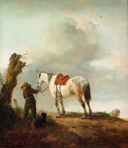 Beyaz bir at; küf