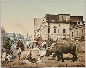 Hindistan. Kalküta. Harrison Road I, Jogees Grubu ile birlikte, Dr. Kurt Boeck tarafından çekilen fotoğraftan sonra