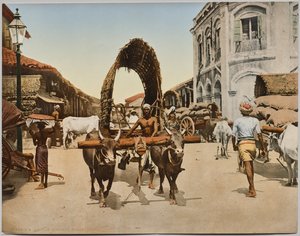Hindistan. Seylan. Kolombo. Sokak Manzarası, Dr. Kurt Boeck'in fotoğrafından sonra