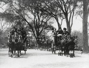 Koçluk, Central Park (s/b fotoğraf) by Photographer American