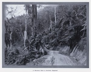 Güney Gippsland