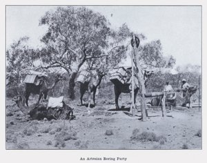 Bir Artezyen Sıkıcı Parti (s/b fotoğraf) by Photographer Australian