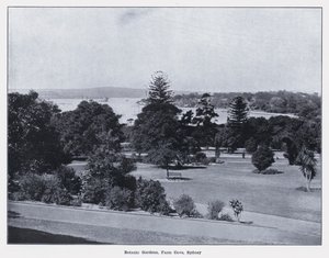 Botanik Bahçeleri, Farm Cove, Sidney (s/b fotoğraf) by Photographer Australian