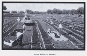 Renmark