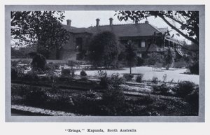 "Eringa," Kapunda, Güney Avustralya (s / b fotoğraf) by Photographer Australian