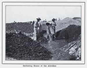 Abrolhos'ta Guano Toplama (s/b fotoğraf) by Photographer Australian
