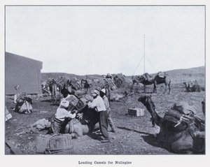 Nullagine için Deve Yükleme (s/b fotoğraf) by Photographer Australian