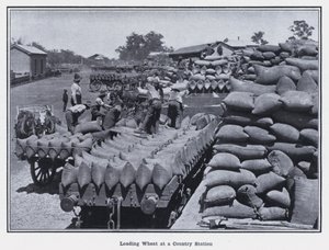 Bir Ülke İstasyonunda Buğday Yükleme (s/b fotoğraf) by Photographer Australian