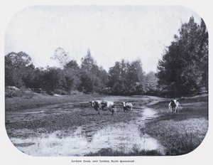 Lockyer Creek, Laidley yakınlarında, Güney Queensland (s/b fotoğraf) by Photographer Australian