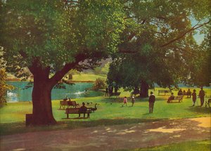 Botanik Bahçeleri, Melbourne (renkli fotoğraf)