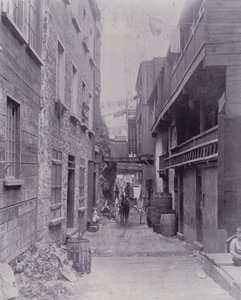 Kanada: Little Champlain Street, Quebec (s/b fotoğraf) by Photographer Canadian