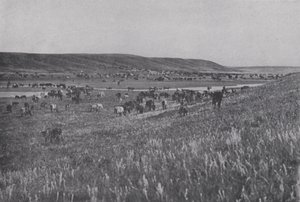 Alberta
