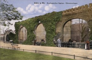 Köln Hayvanat Bahçesi, Ayılar (fotoğraf) by Photographer German