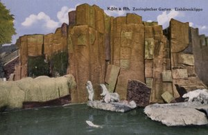 Köln Hayvanat Bahçesi, Kutup ayıları (fotoğraf) by Photographer German