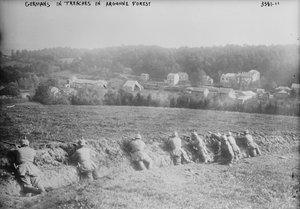 Argonne Ormanı