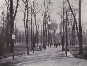 Tiergarten, Ahornsteig