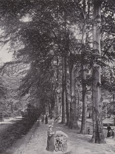 Tiergarten