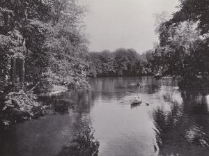Tiergarten, Neuer See'de (s/b fotoğraf) by Photographer German