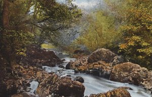 İrlanda: In The Dargle, County Wicklow (renkli fotoğraf) by Photographer Irish
