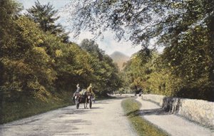 İrlanda: The Glen of the Downs, Sugar Loaf Dağı, County Wicklow (renkli fotoğraf) by Photographer Irish