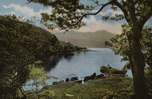 Güney İrlanda: Innisfallen, Killarney