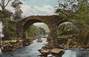 Güney İrlanda: Eski Savak Köprüsü (Shooting the Rapids), Killarney (renkli fotoğraf) by Photographer Irish