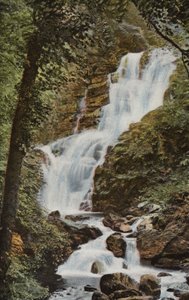 Güney İrlanda: Torc Cascade, Killarney (renkli fotoğraf) by Photographer Irish