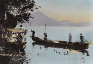 Japonya, c.1912: Bir karabatakla balık tutmak, Nagaragawa (fotoğraf) by Photographer Japanese