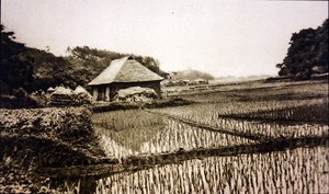 Japonya
