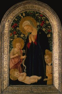 Çocuğu Vaftizci Yahya, Melek ve Rose Hedge ile Çocuğa Tapan Madonna (panelde tempera)