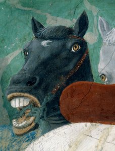 Gerçek Haç Efsanesi, Sheba Kraliçesinin Kral Süleyman tarafından kabulü, at detayı, tamamlanmış 1464 fresk