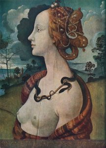 Simonetta Vespucci